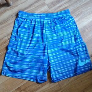 Nike Blue and White Athletic Shorts